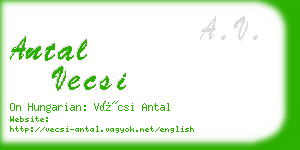 antal vecsi business card